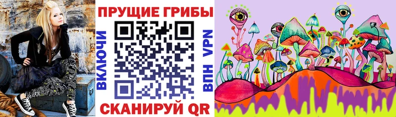kraken маркетплейс  купить закладку  Калининск  Галлюциногенные грибы Psilocybe 